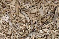biomass boilers Salum