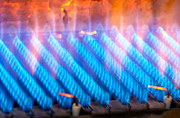 Salum gas fired boilers
